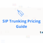 How Much SIP Trunking Cost?