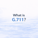 G.711: What It Means in VoIP?